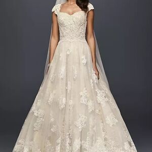 Plus Size Wedding Dress (22W)